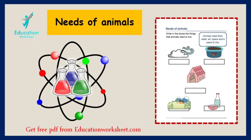 Basic needs of animals worksheet