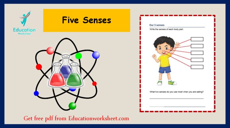 Printable five senses worksheets