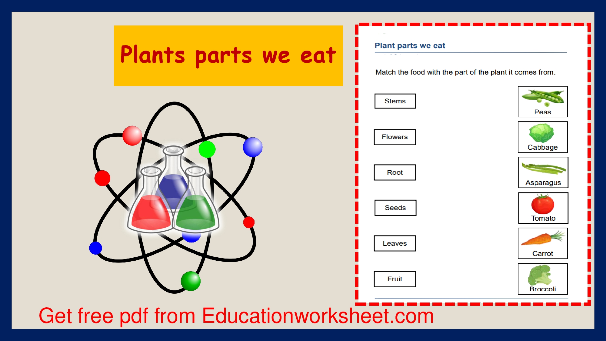 Fruits and vegetables worksheets