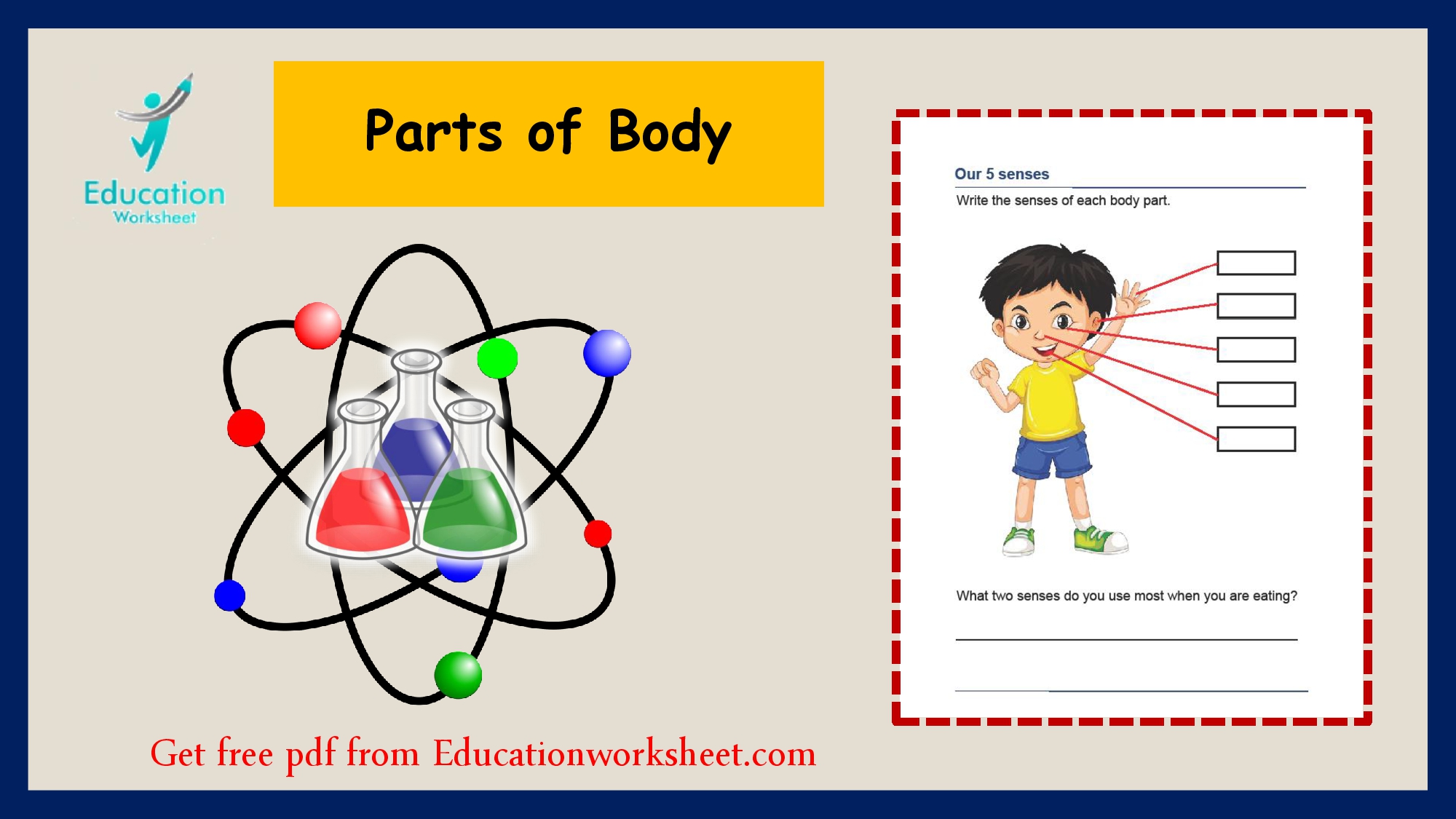 Parts of the body worksheets for kids