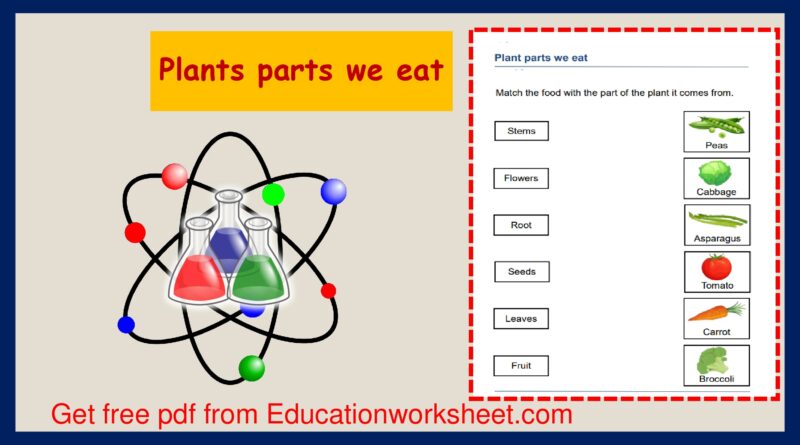 Fruits and vegetables worksheets.