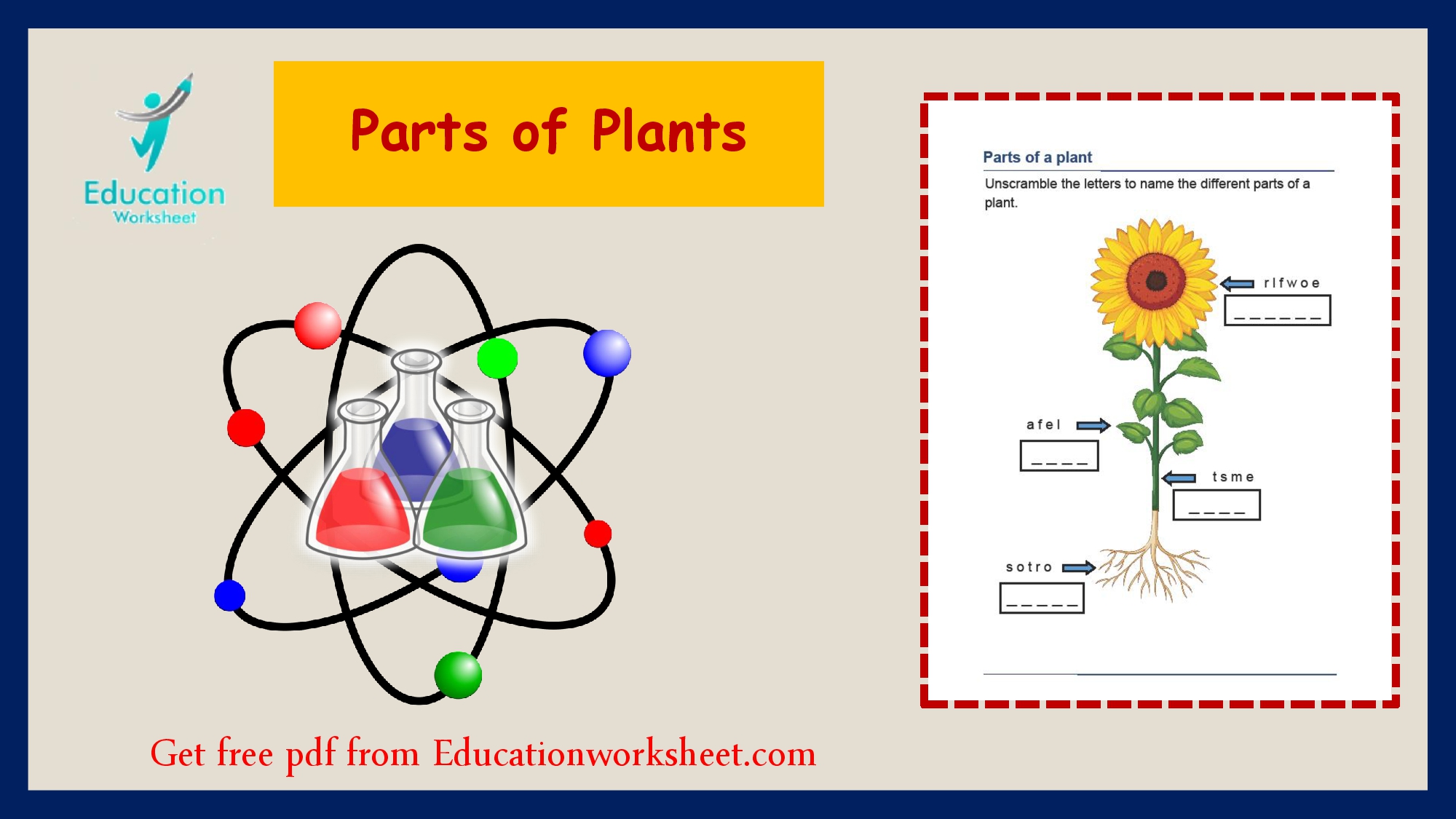 parts of plant
