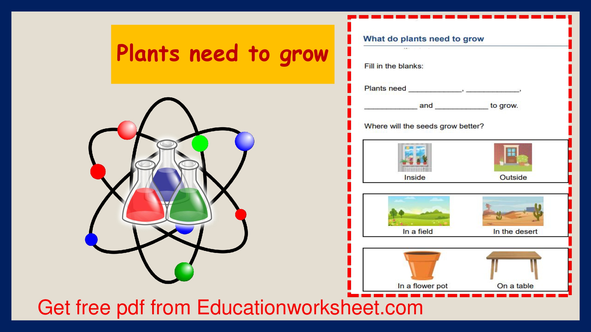 Types of vegetables worksheets.