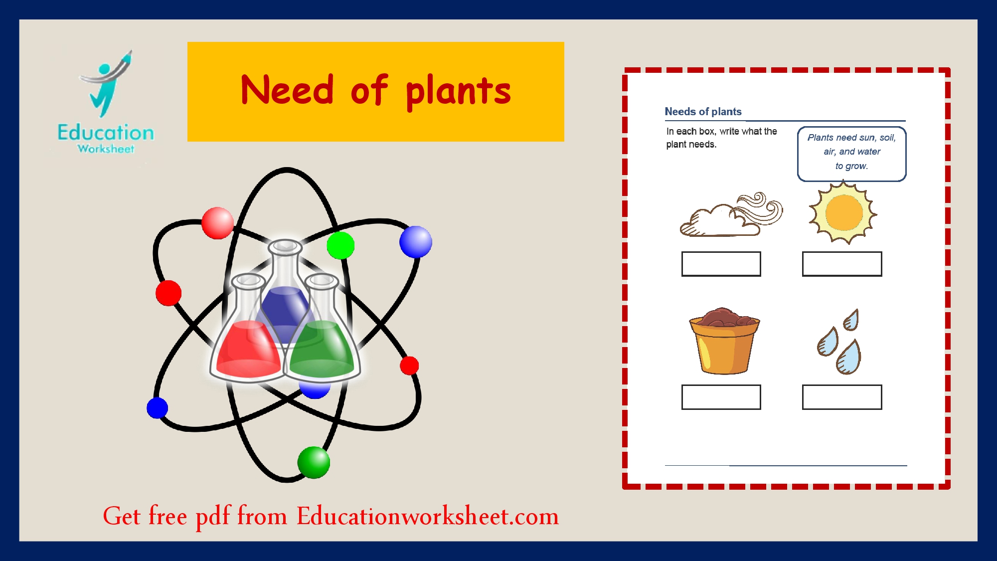 Needs of plants worksheet for kids
