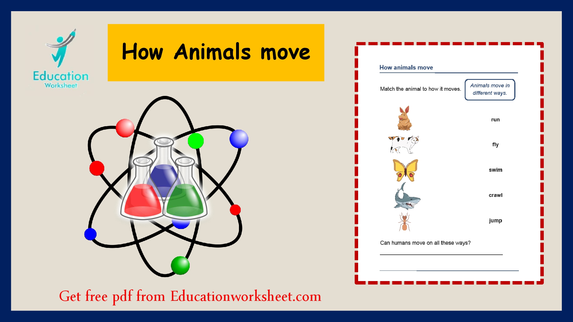 How animals travel worksheet