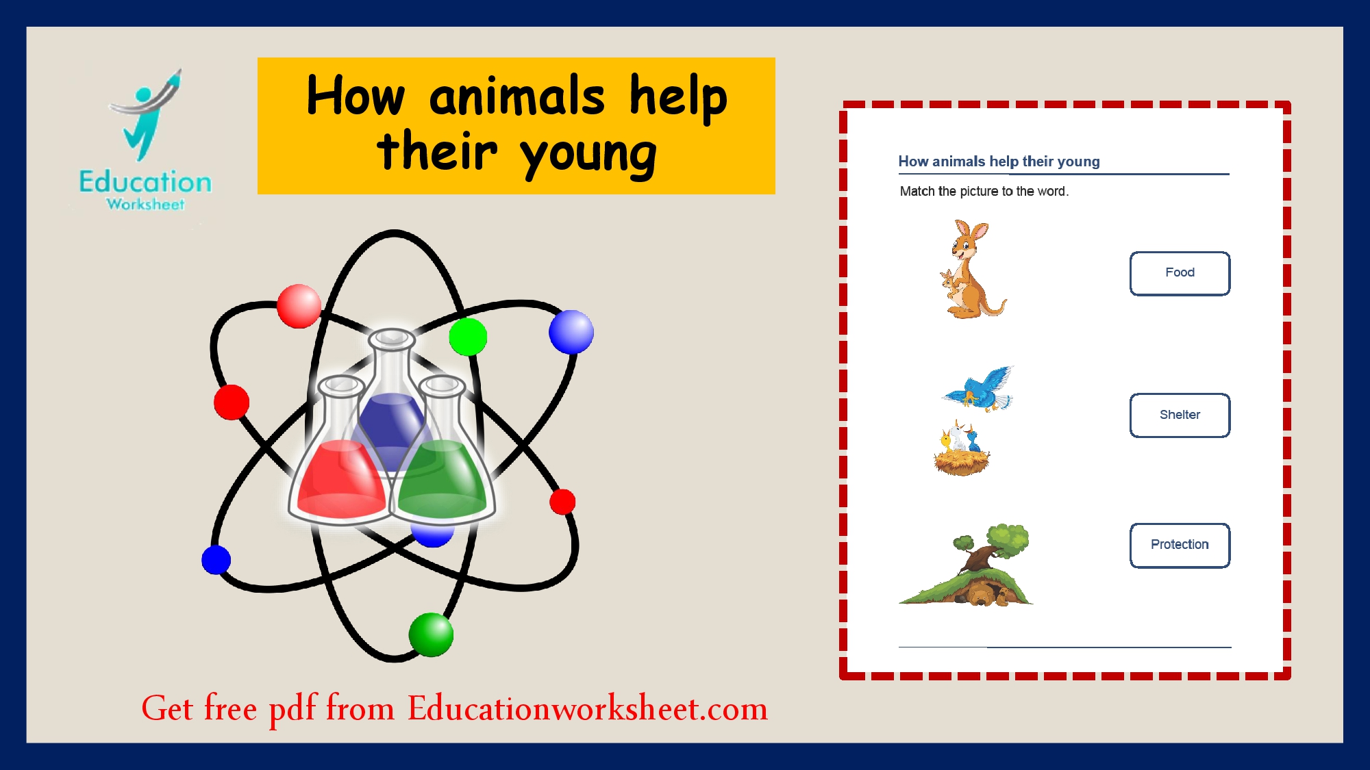 Animal offspring care worksheet