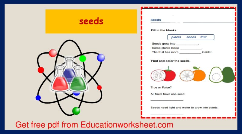 Parts of a seed worksheets.