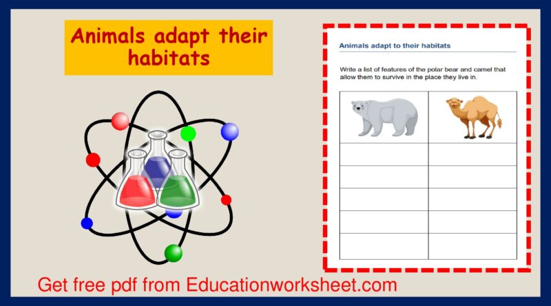 animals adapt their habitats worksheets.
