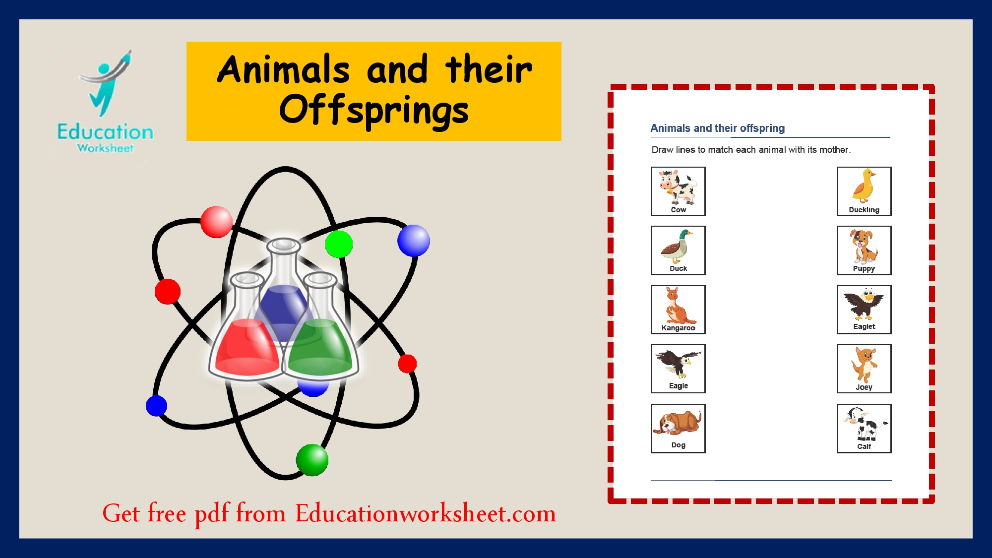 Animal parent and offspring worksheet