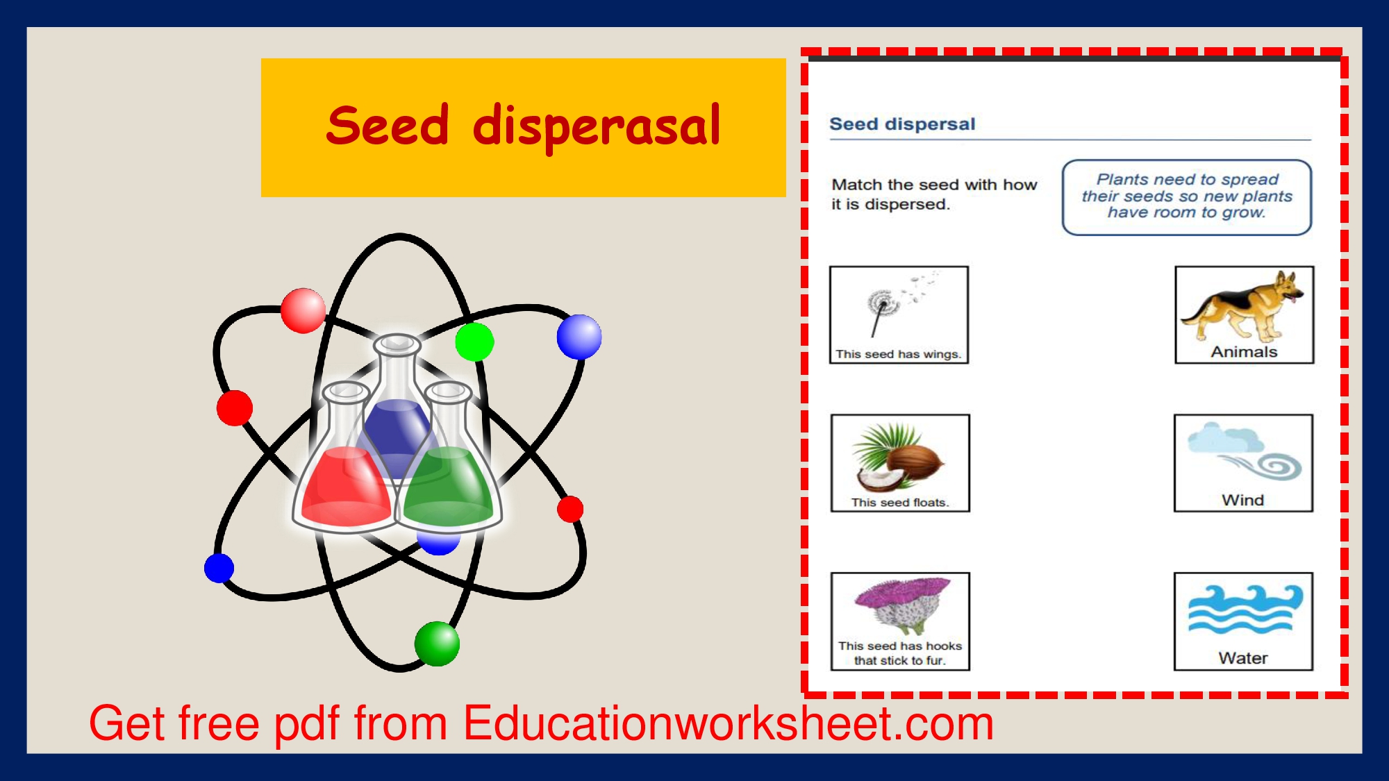 Seed dispersal methods worksheets.