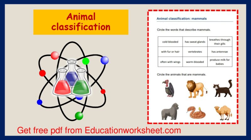 calassification of animals worksheets.