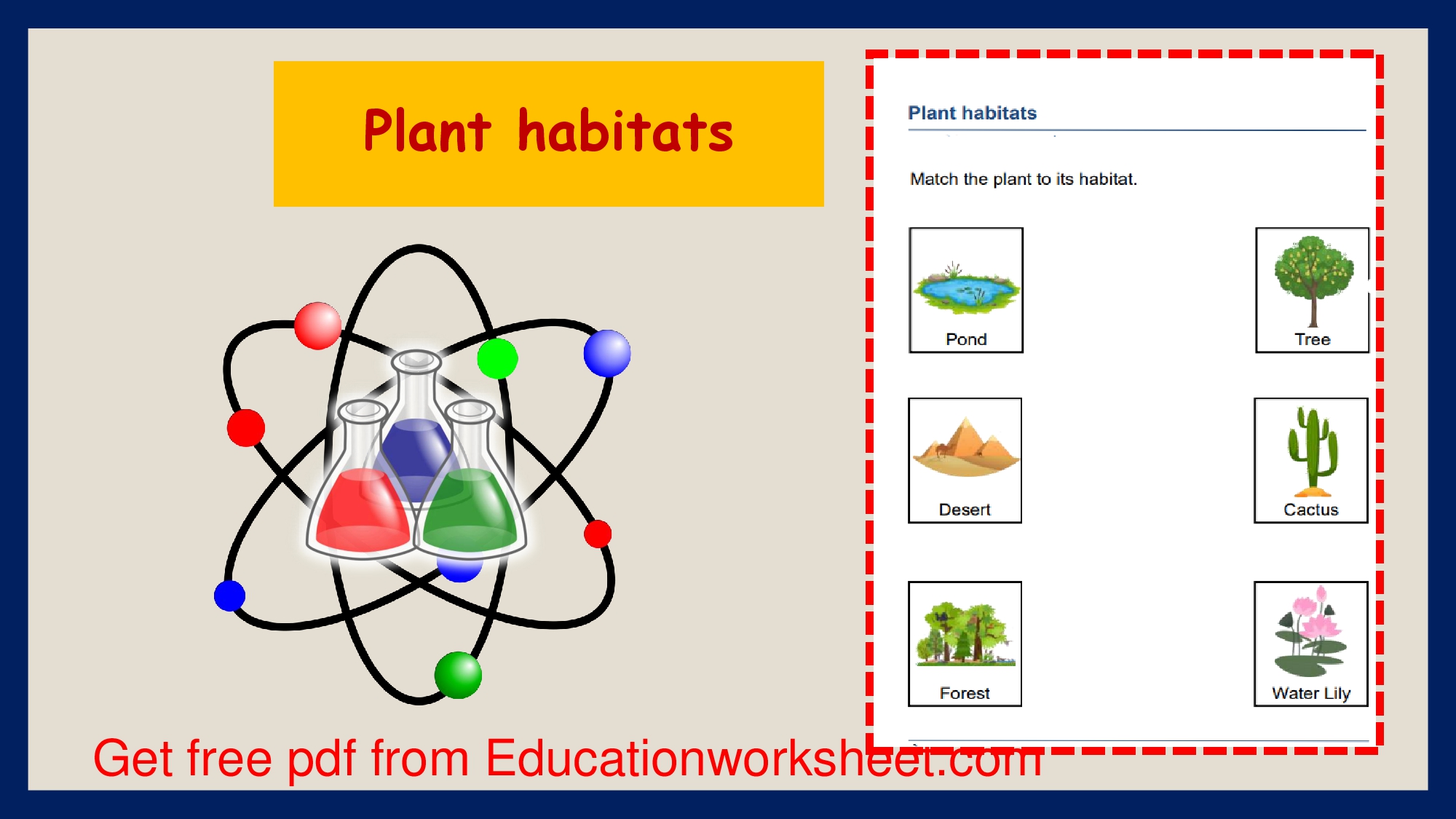 Wetland plants worksheets.