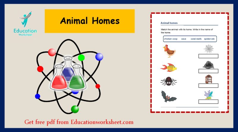 Animal homes worksheet