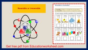 Wetland plants worksheets.