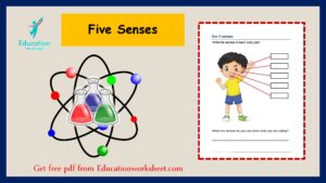 Printable five senses worksheets.