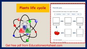 plants habits