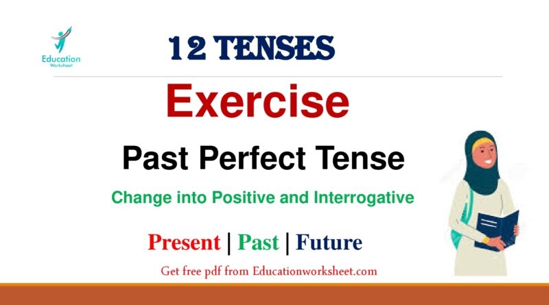 Past Perfect Tense affirmative examples