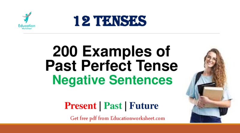 Past Perfect Tense negative examples
