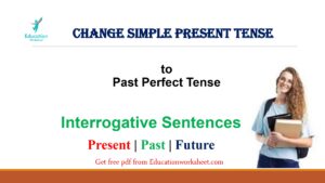 Change to Past Perfect form interrogative 