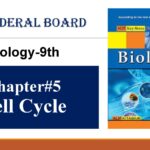 9th Biology Chapter5 Cell Cycle