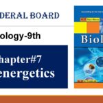 9th Biology Chapter7 Bioenergetics