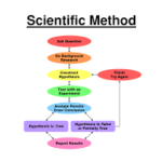 9th Biology Chapter2 Solving a biological problem