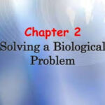 9th Biology Chapter2 Solving a biological problem