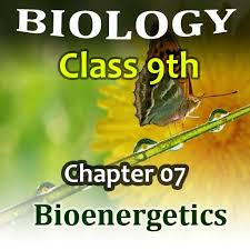 9th Class Subject Biologi Chapter 7 Bioenergetics