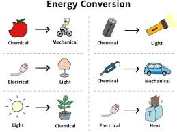 9th Class Subject Biologi Chapter 7 Bioenergetics